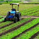 Agricultura